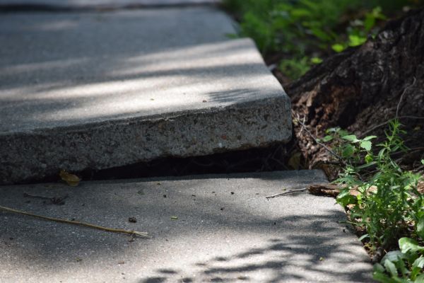 Sidewalk Leveling in Brooksville